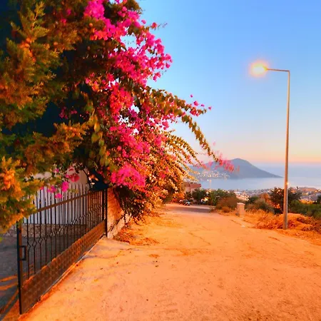Villa Aden *